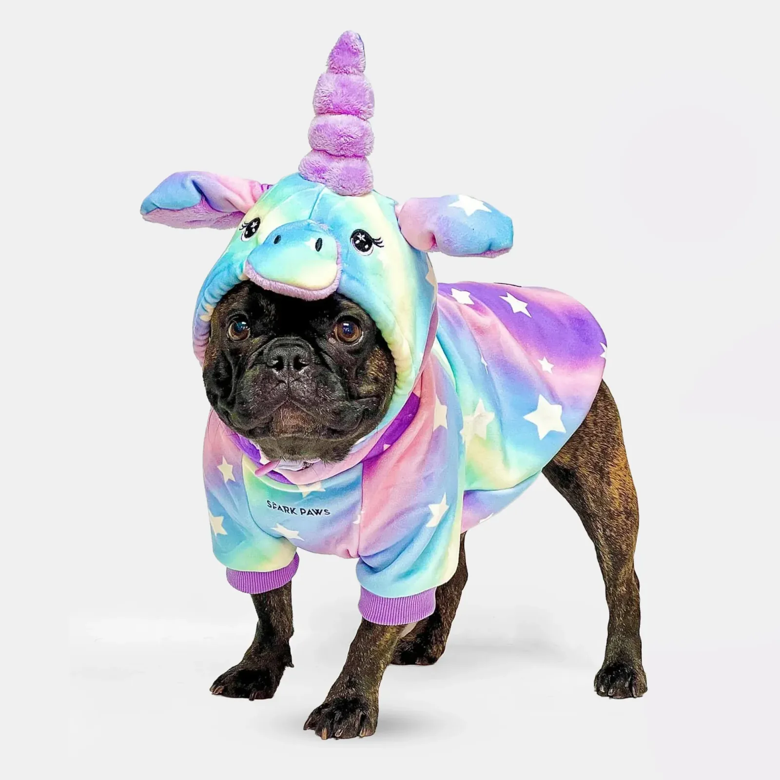 Halloween Dog Hoodies (Limited Edition)