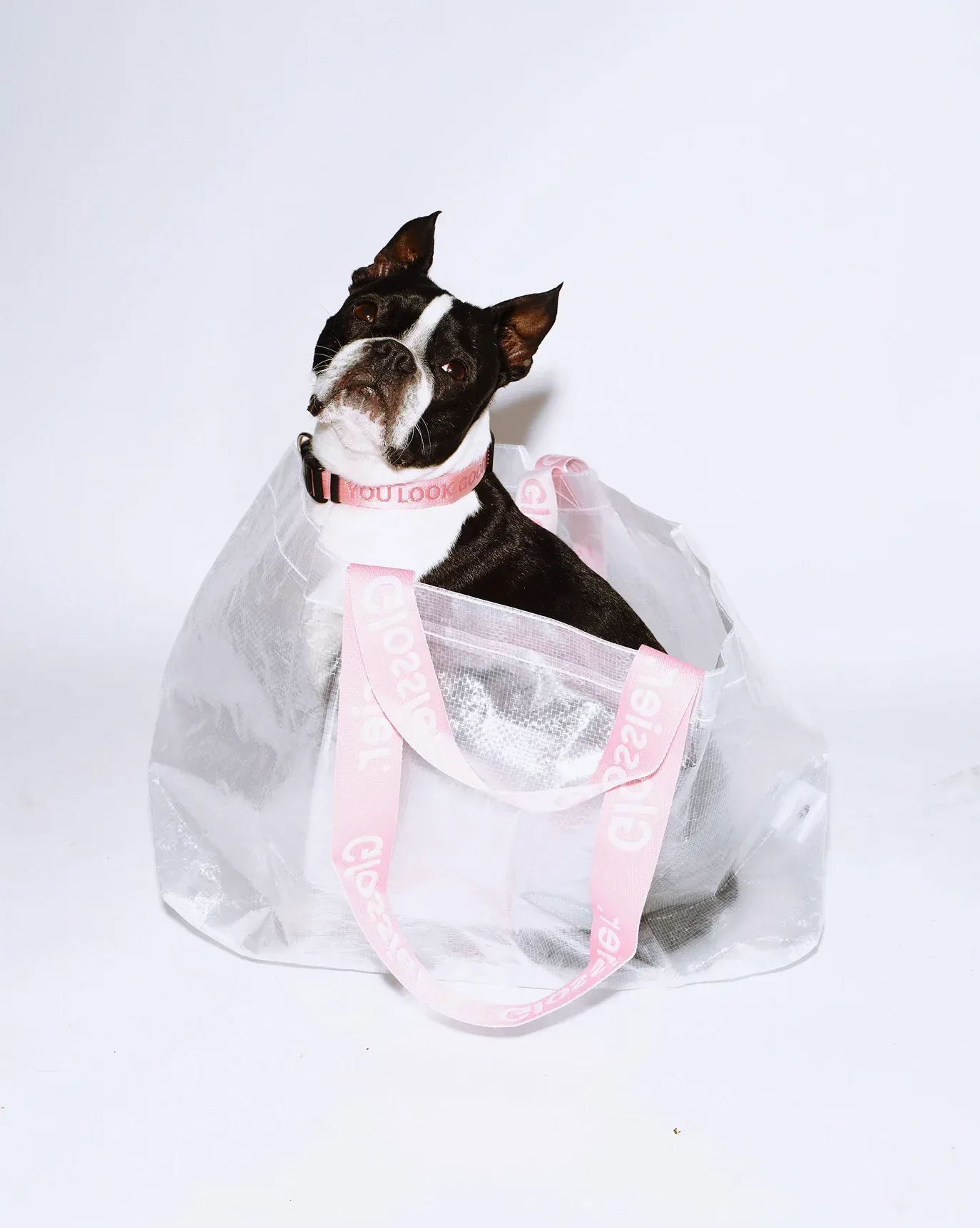 Errand Bag