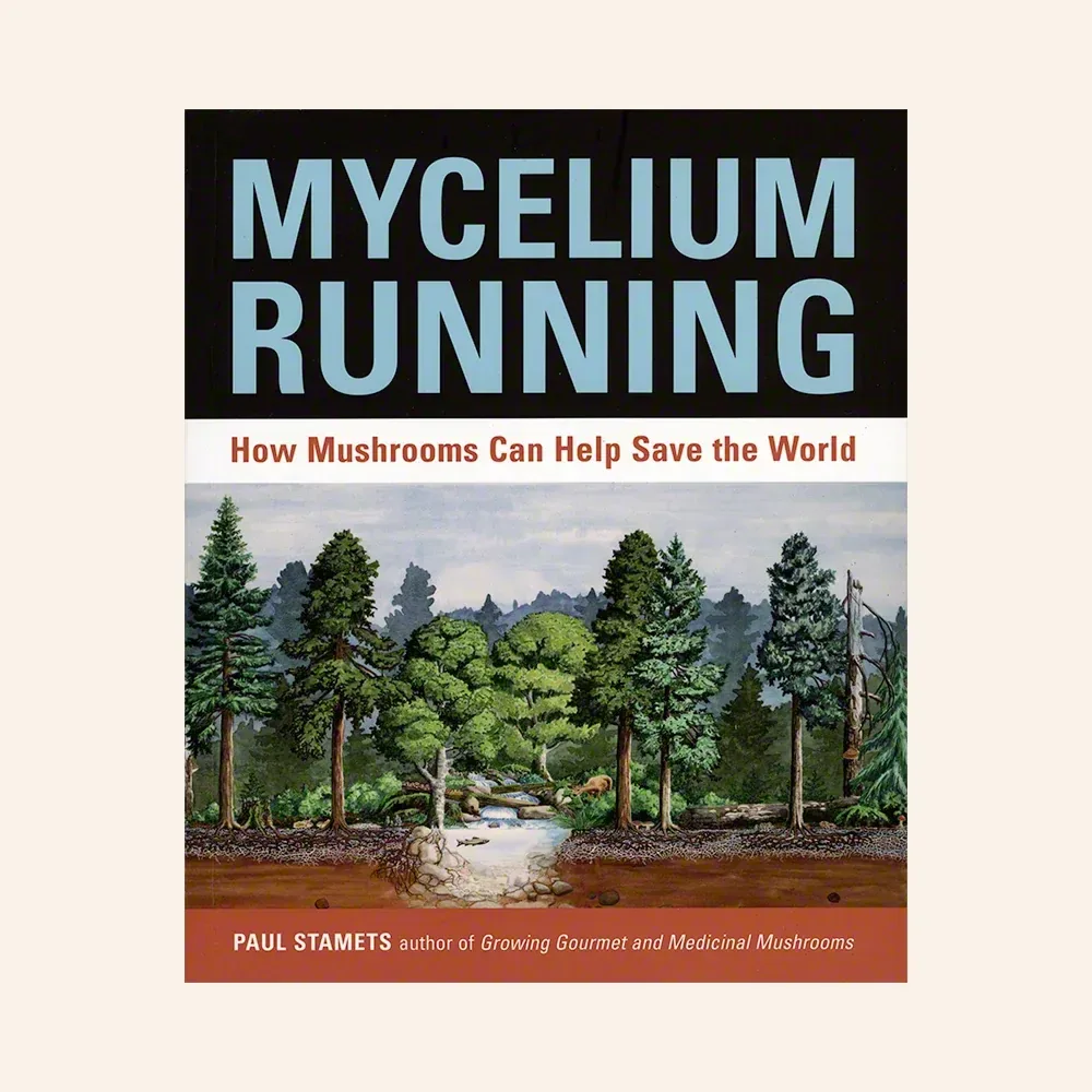 Mycelium Running