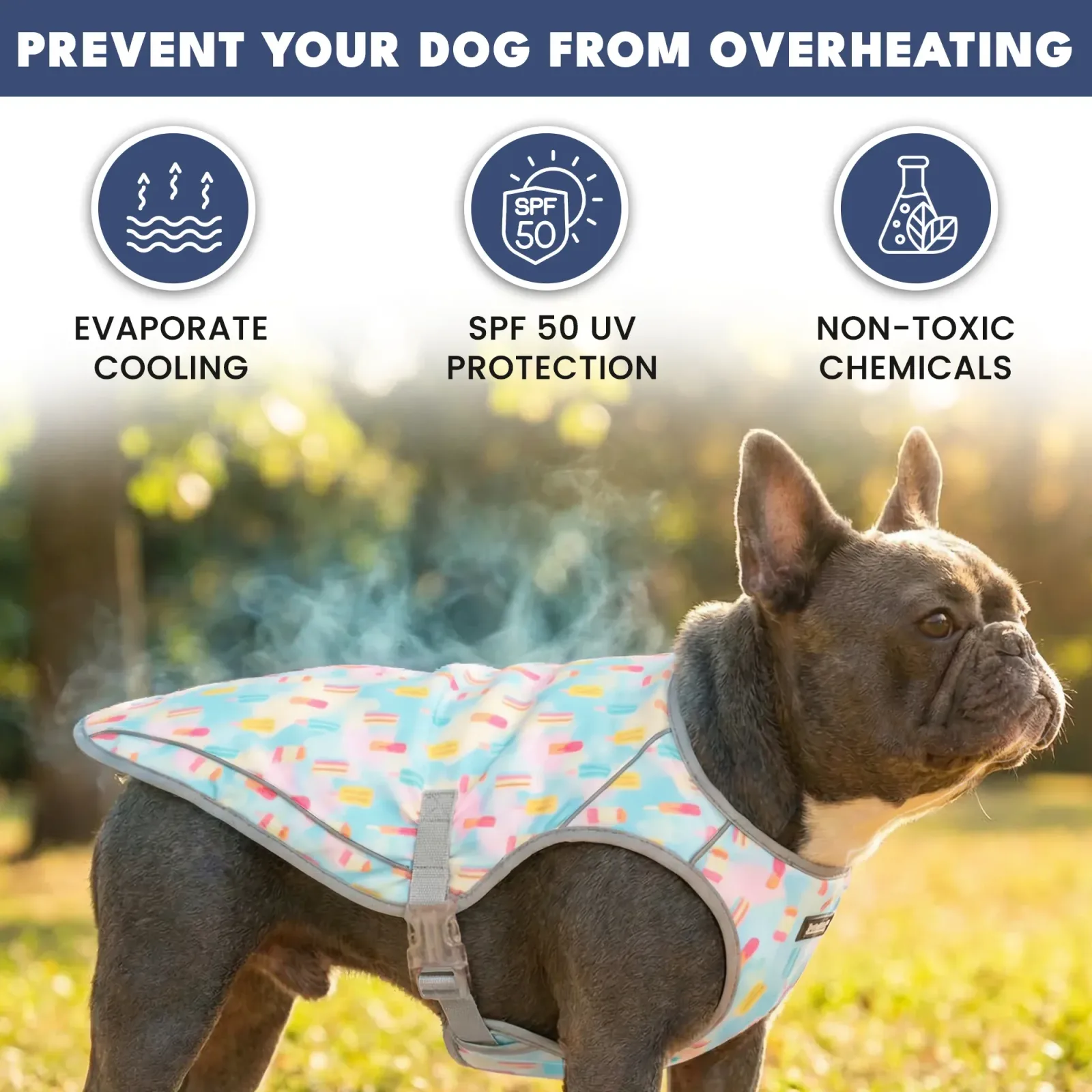 Dog Cooling Vest (2-pack) – Cherries & Popsicles