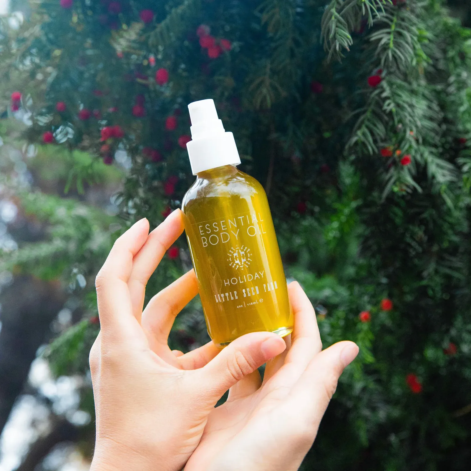 Holiday Body Oil – Seasonal Release