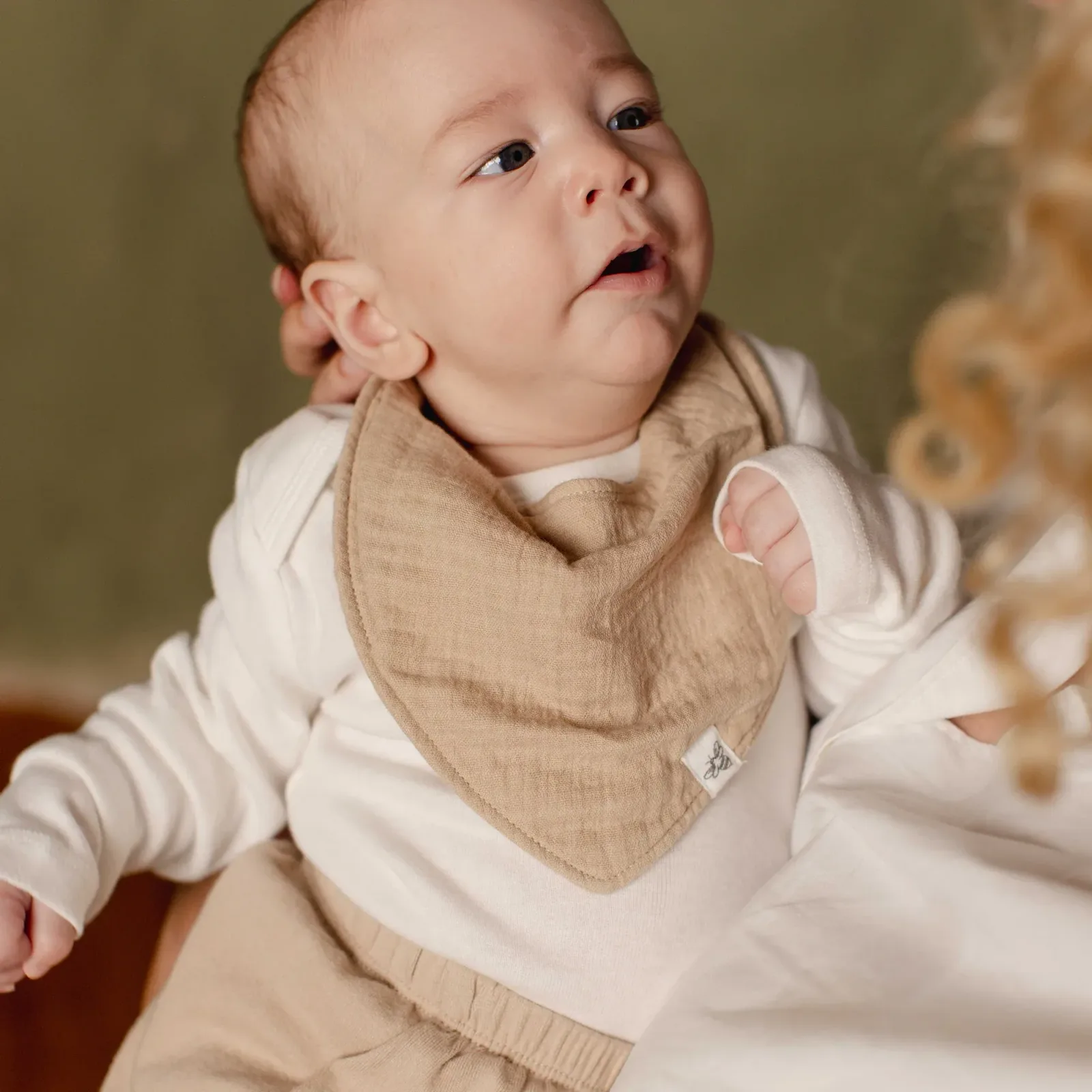 Hummus Organic Baby Bandana Bibs Pack of 3