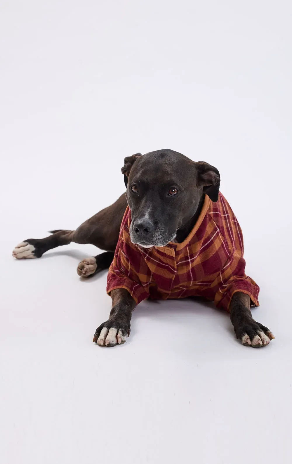 Classic Flannel Pet Pajamas