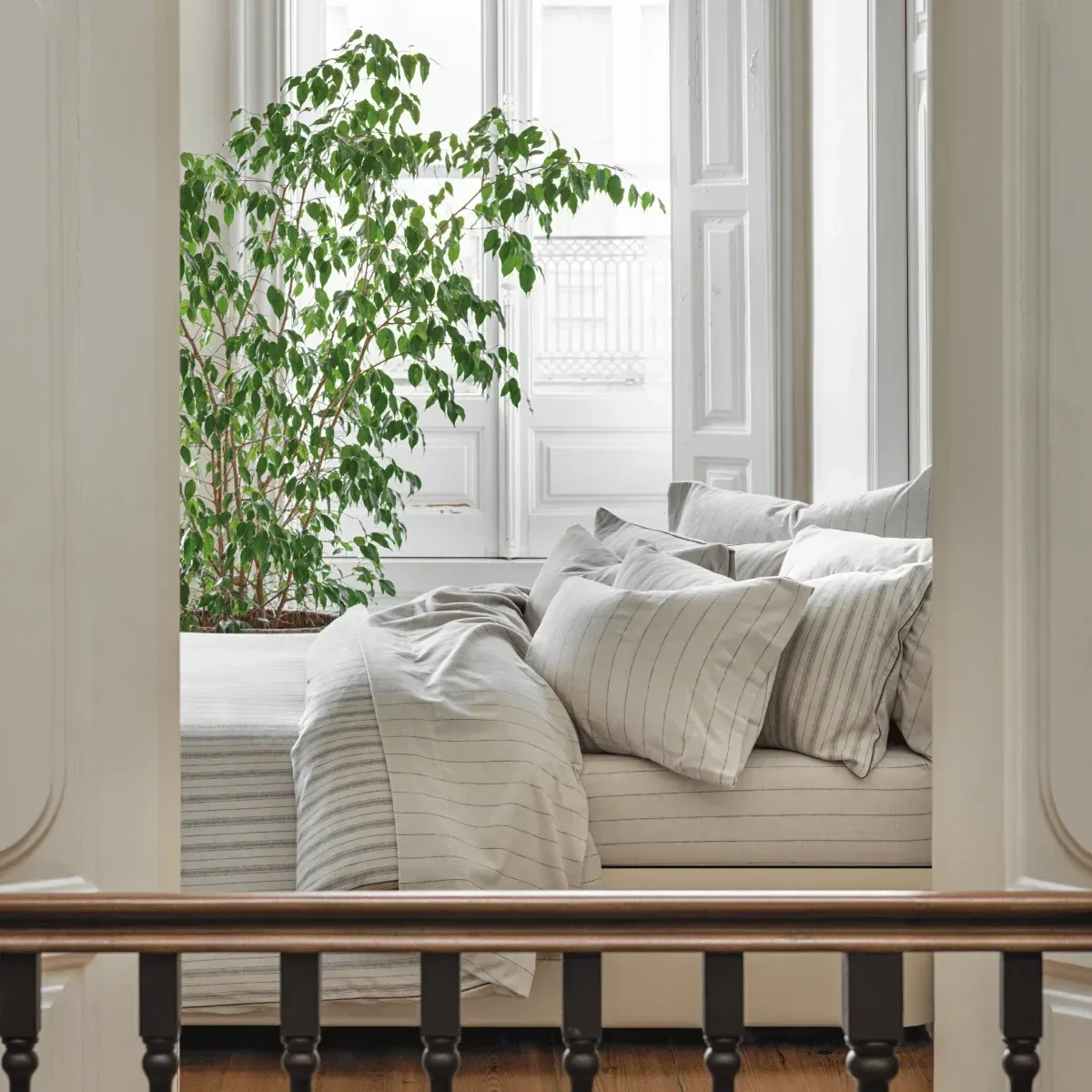 Brushed Cotton Duvet Cover & Shams Set