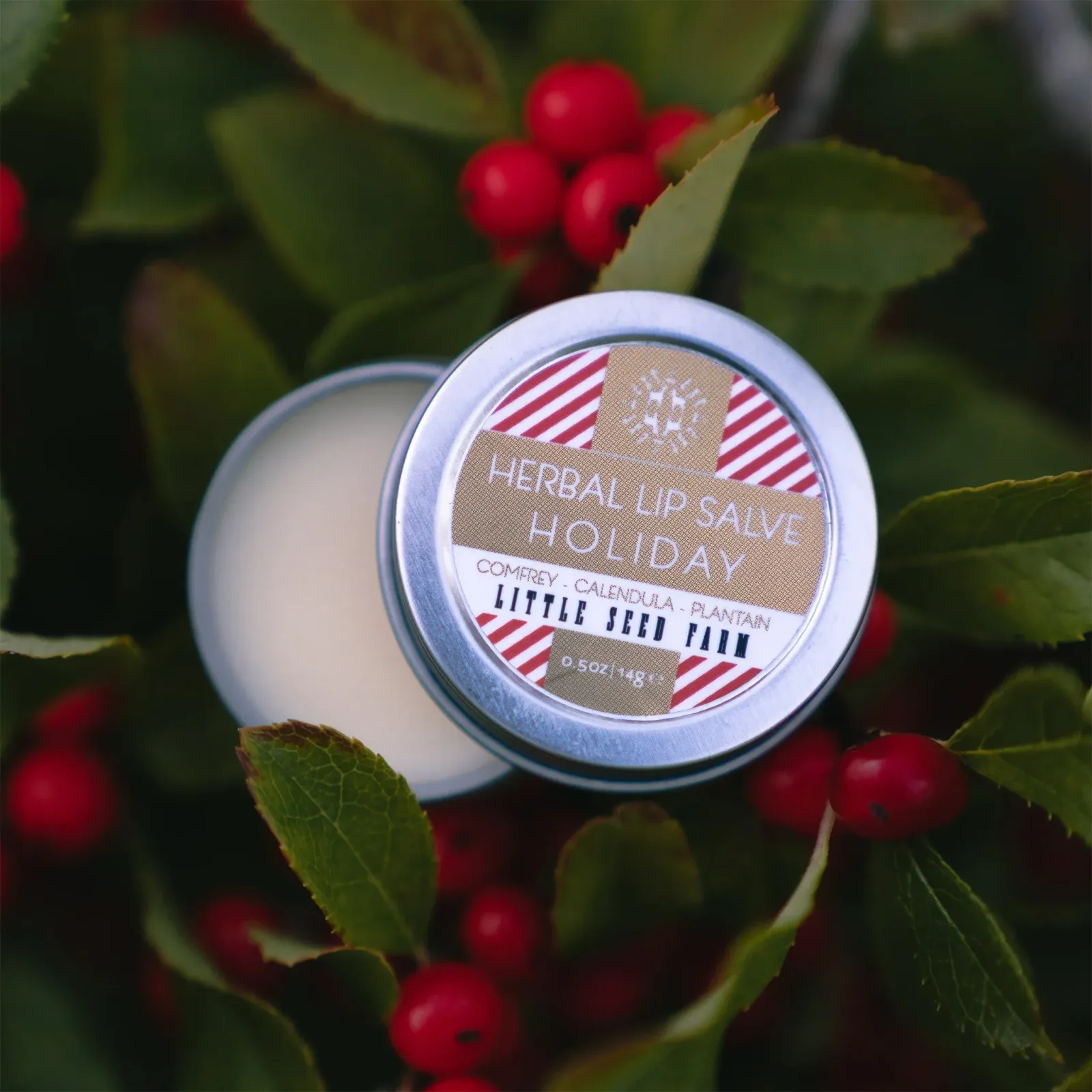 Holiday Lip Salve – Seasonal Release
