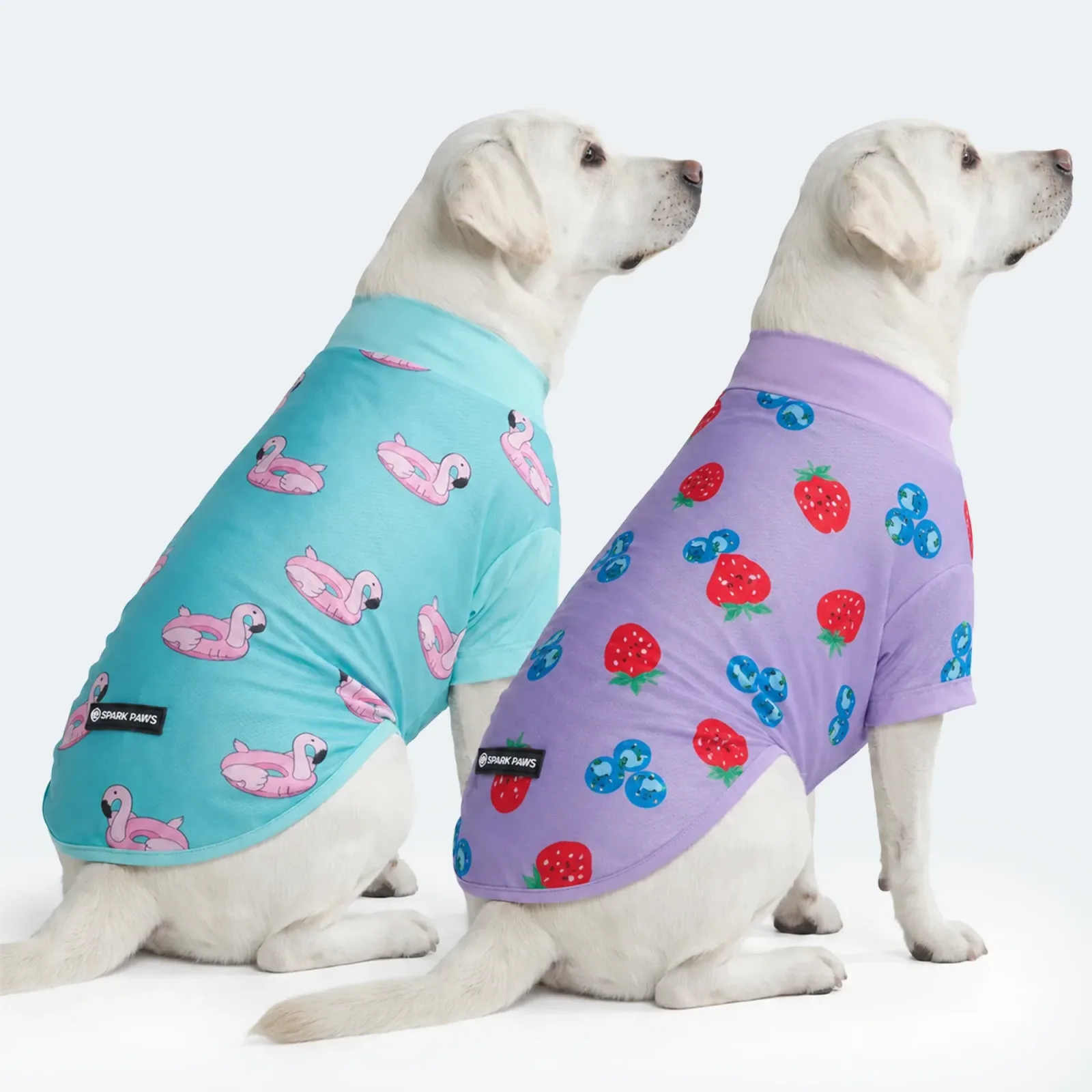 Sunblock Dog T-Shirt (2-pack) – Berries Flamingo