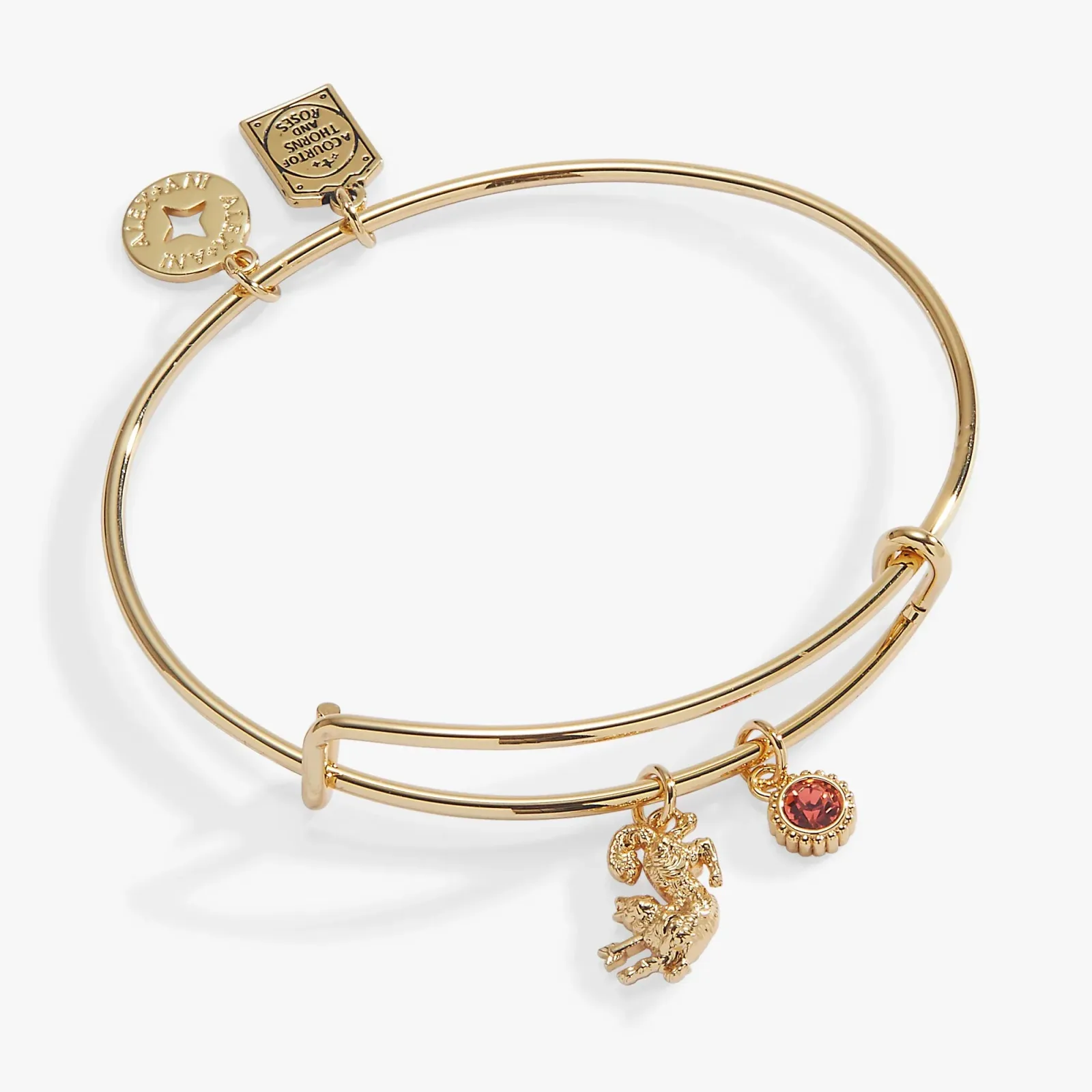 ACOTAR Book Symbols Bangle Bundle