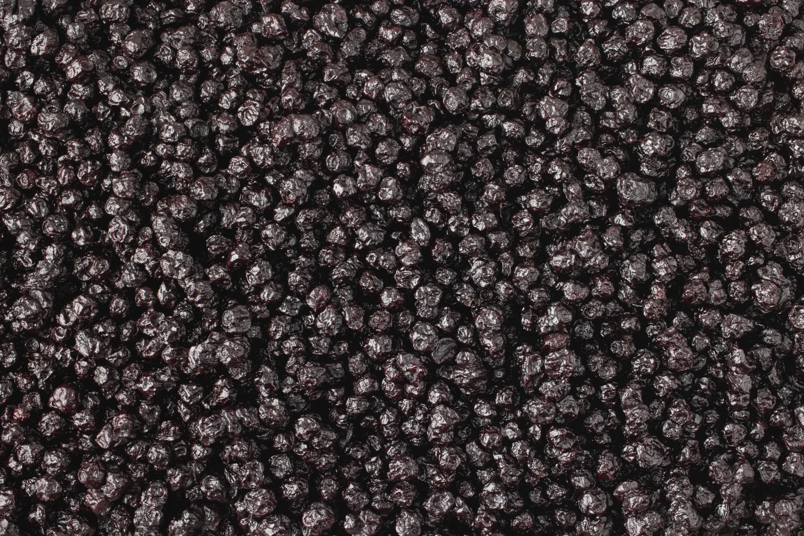 Organic Wild Blueberries