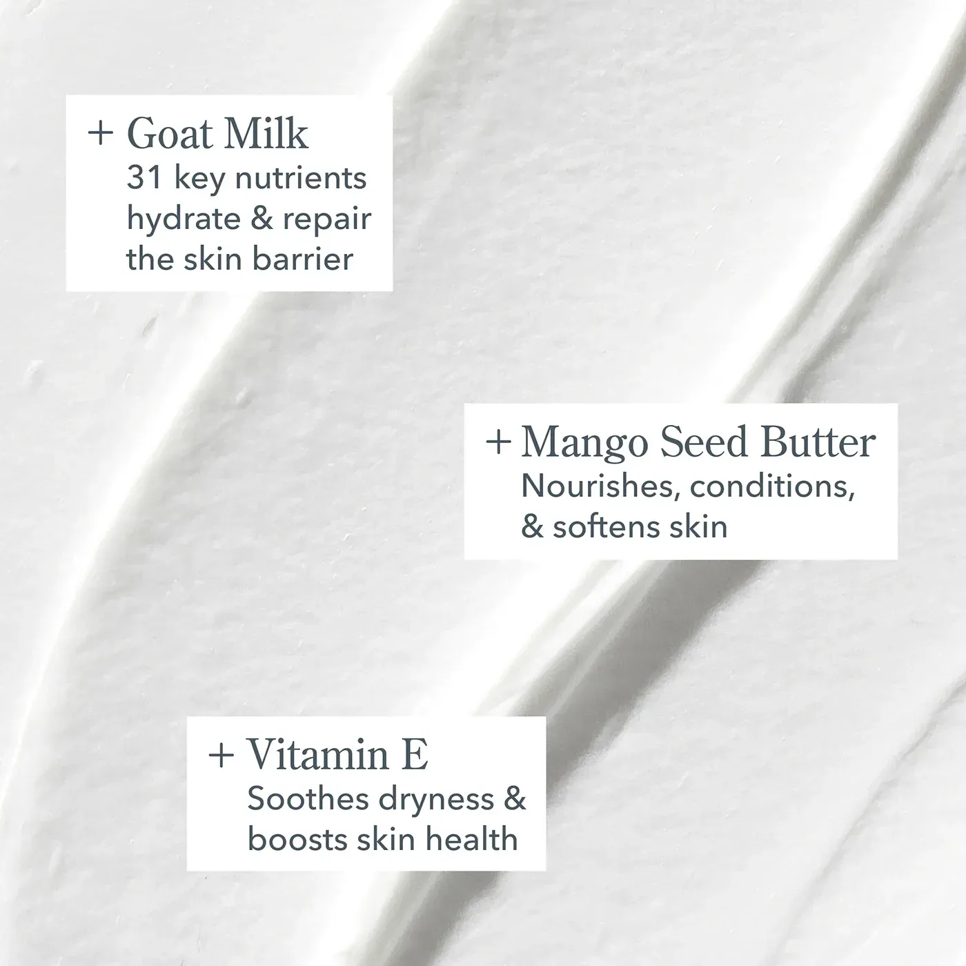 Ginger Cream Cookie Whipped Body Cream