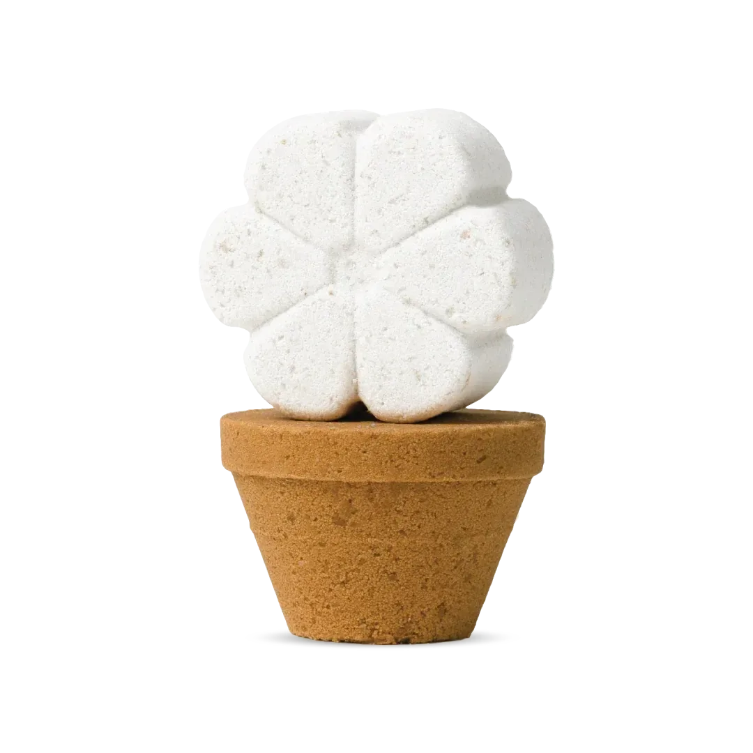 Flower Pot Bath Bomb 2 Pack