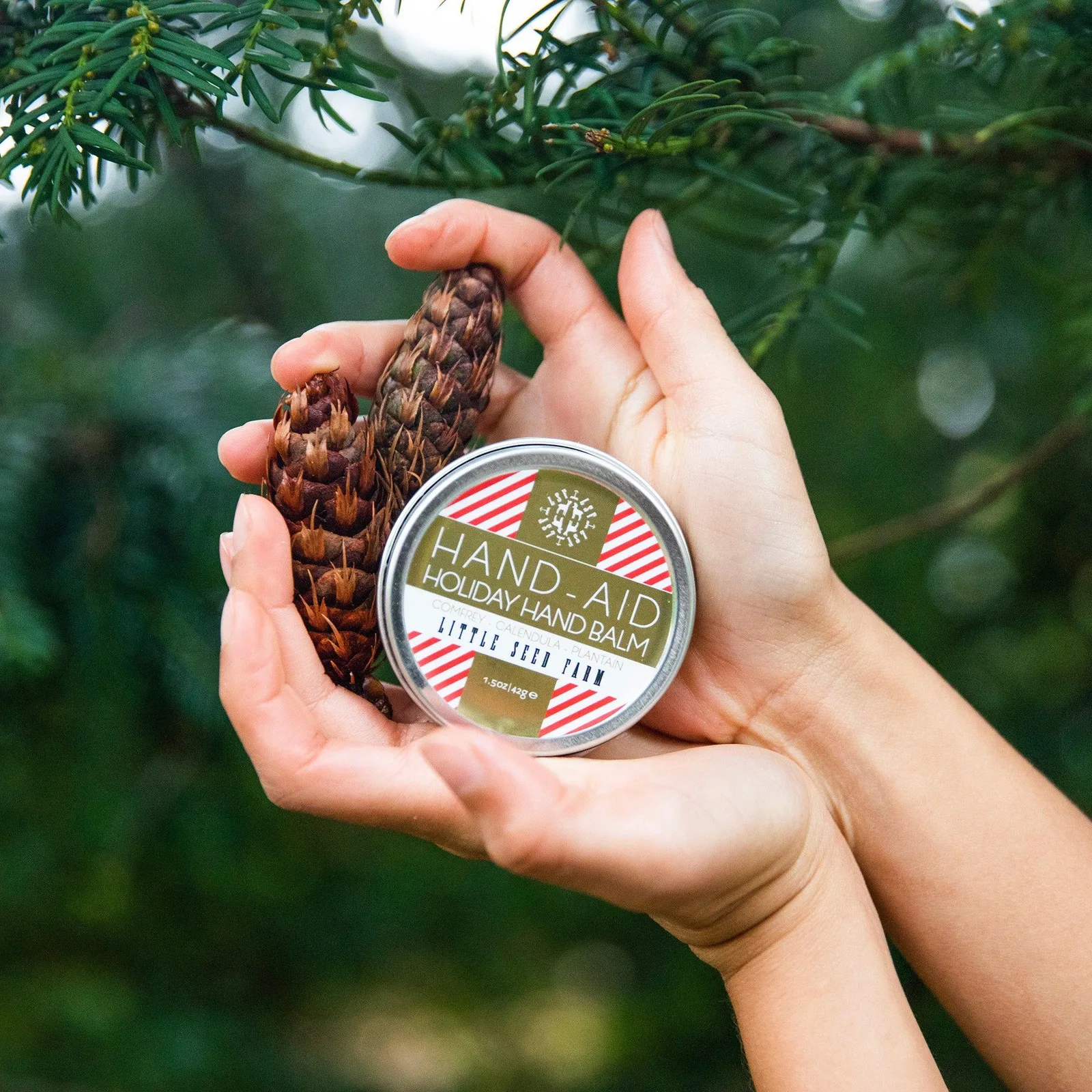 Holiday Hand-Aid – Seasonal Release