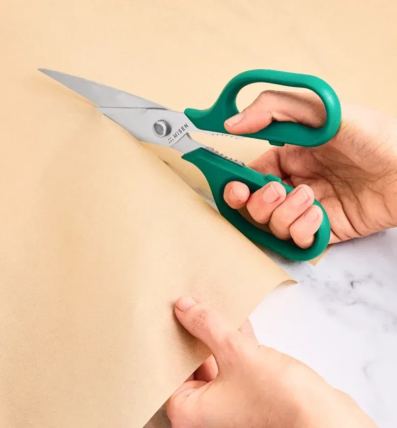 Kitchen Shears – Standard – Blue