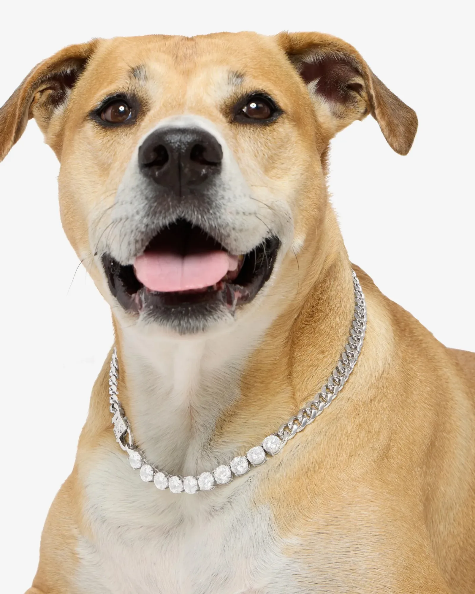 Thor Loves Diamonds Pet Necklace – Silver|White Diamondettes
