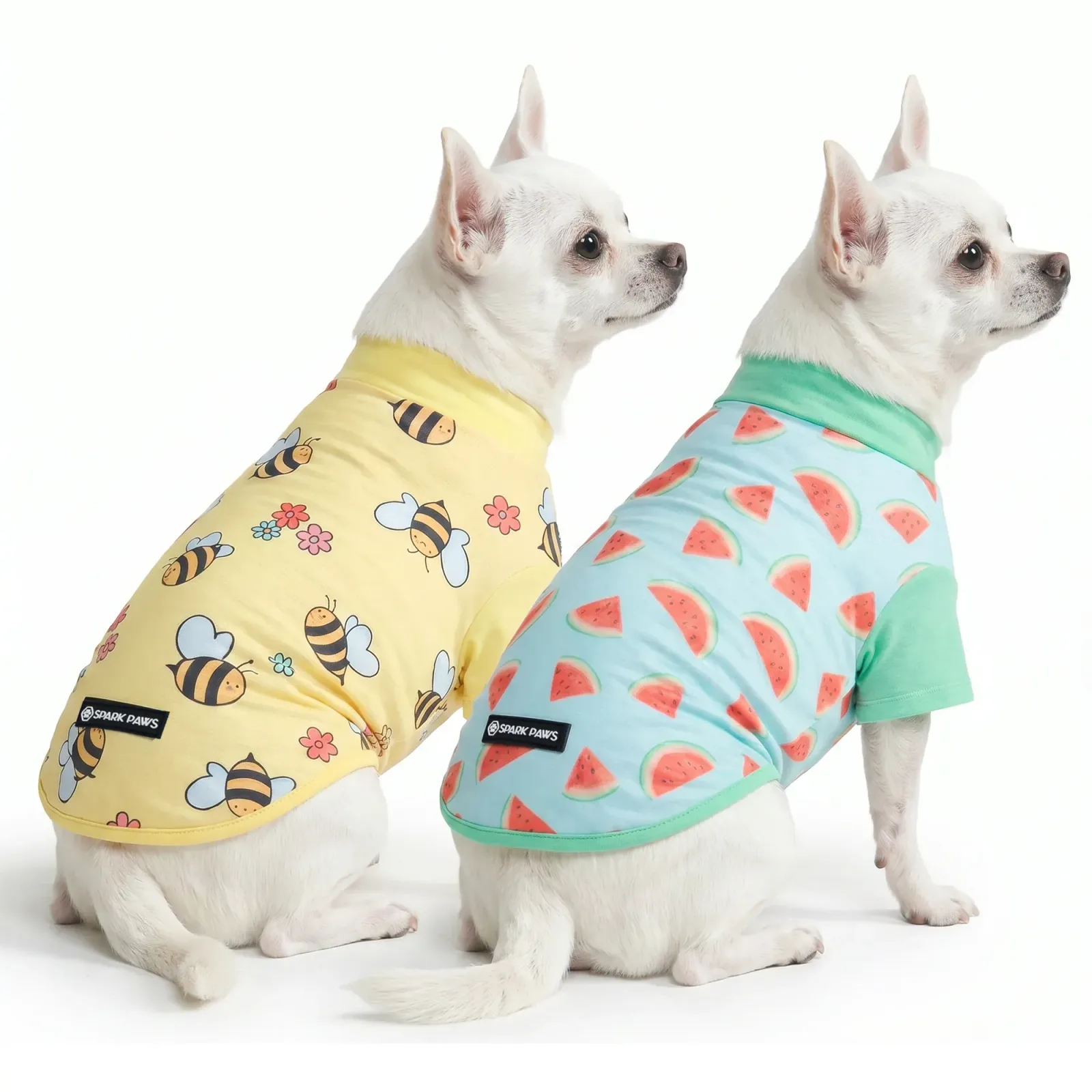 Sunblock Dog T-Shirt (2-pack) – Bees Watermelon