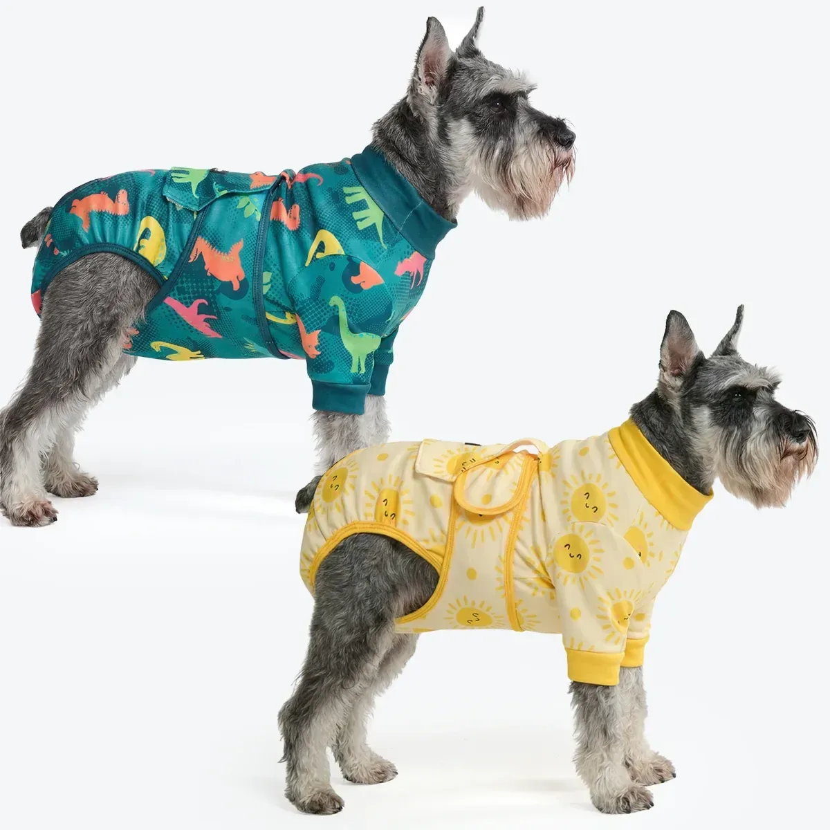 Dog Surgical Suit (2-pack) – Dinosaurs and Sunshine