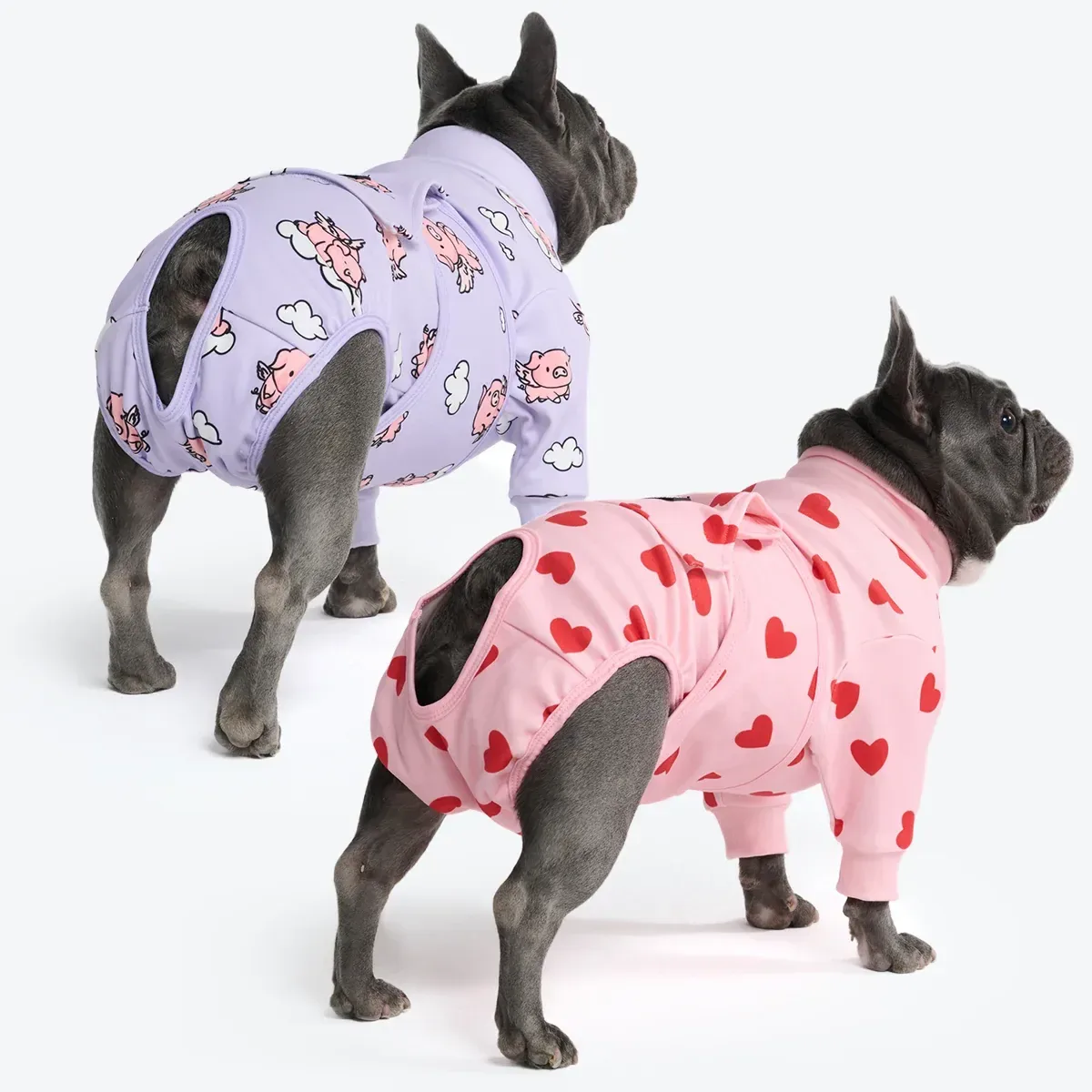 Dog Surgical Suit (2-pack) – Pink Hearts and When Pigs Fly