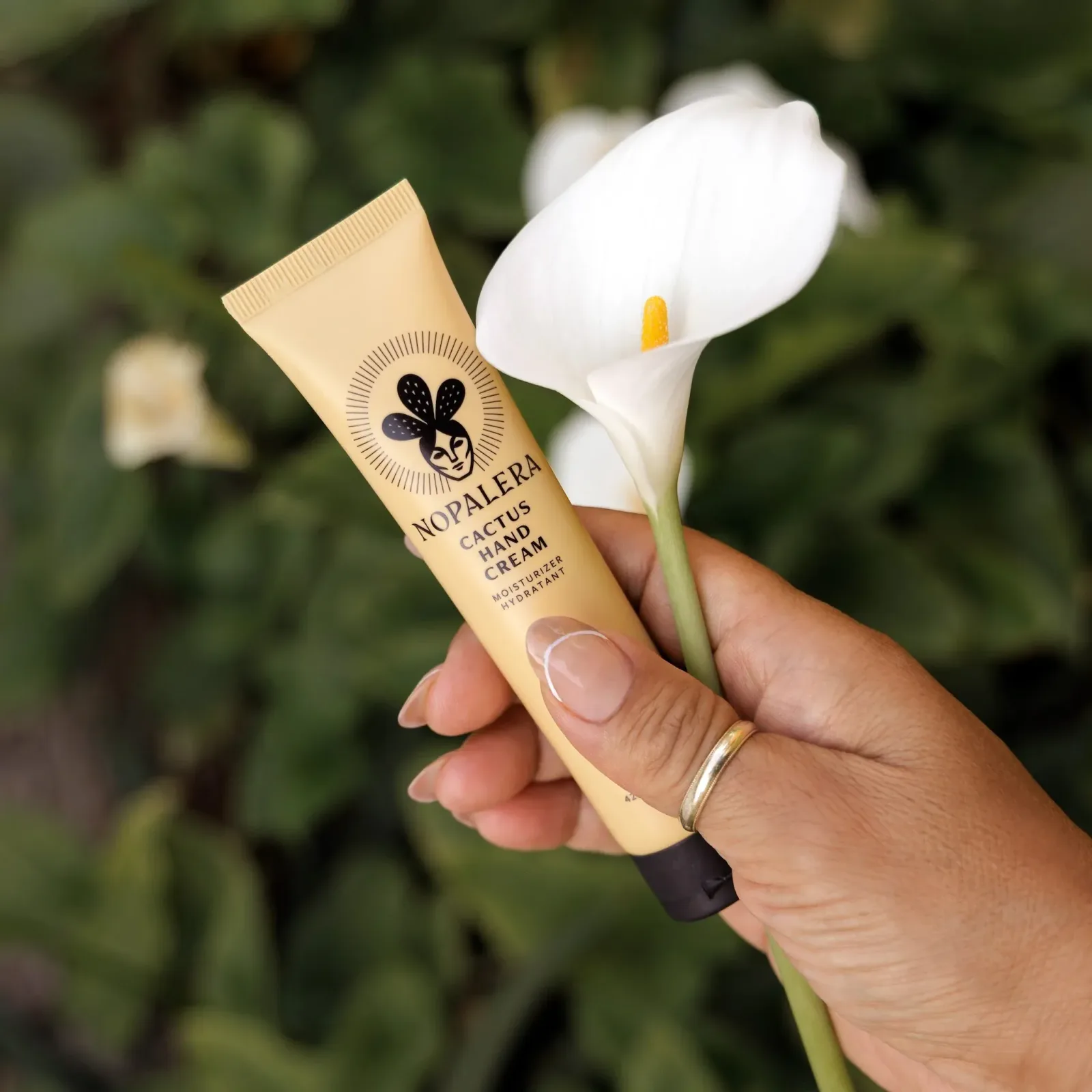 Amig@ Hand Cream Party Pack (12 pack)
