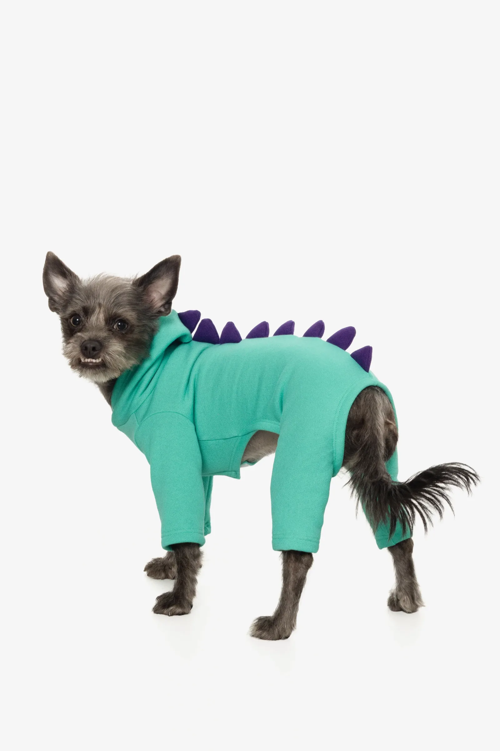 FF900 – Dogzilla