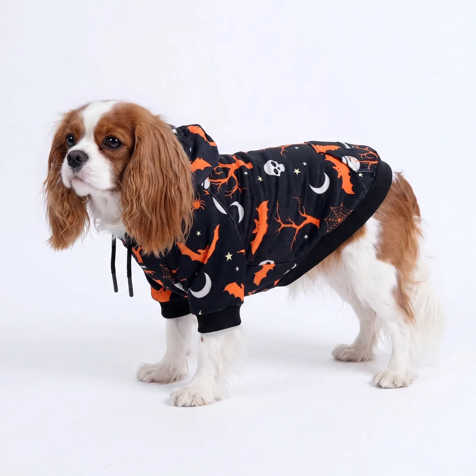 Halloween Dog Hoodie – Black