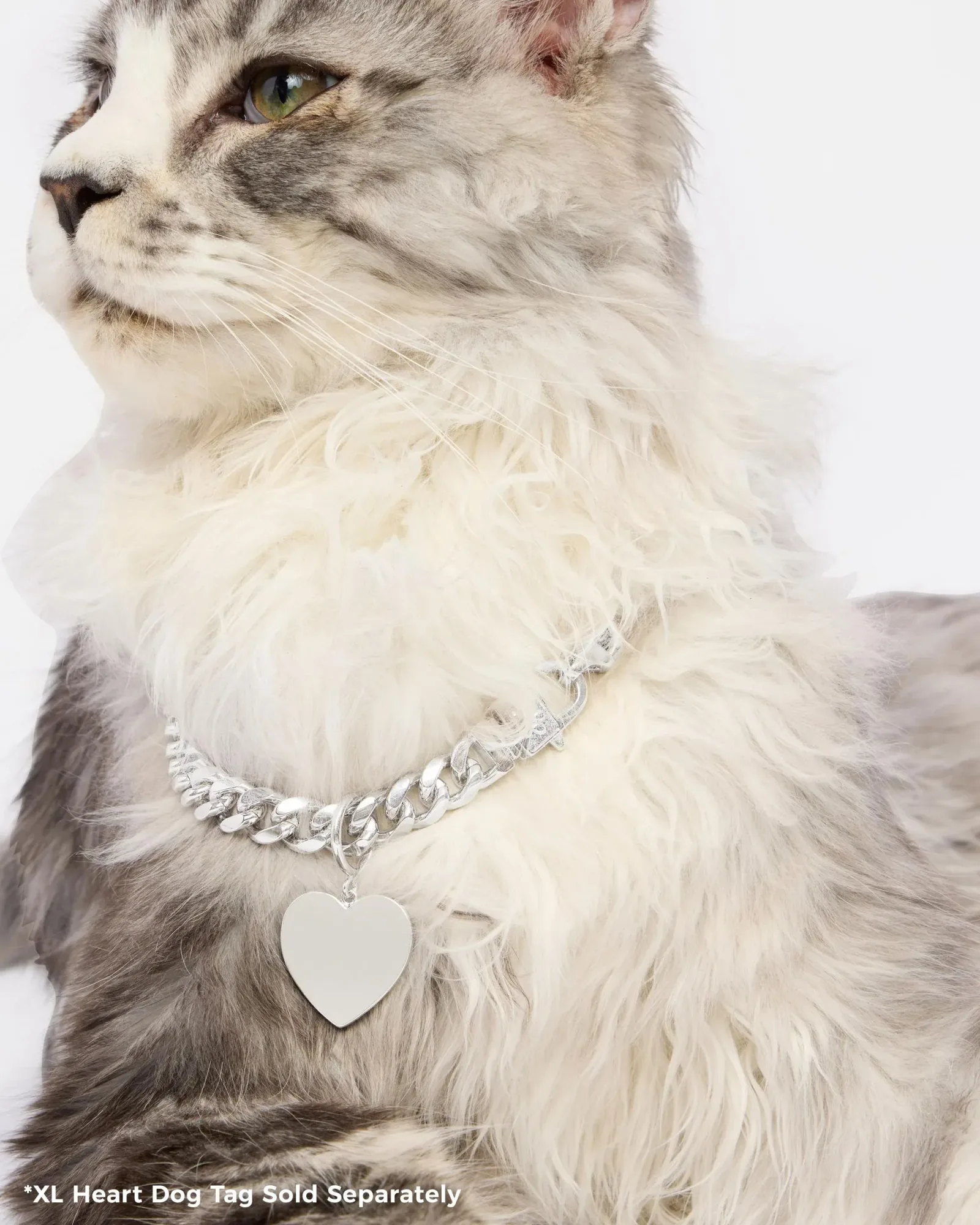 XL Heart Engravable Dog Tag – Silver