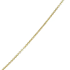 Selected Chain (Enhancer Bracelet)
