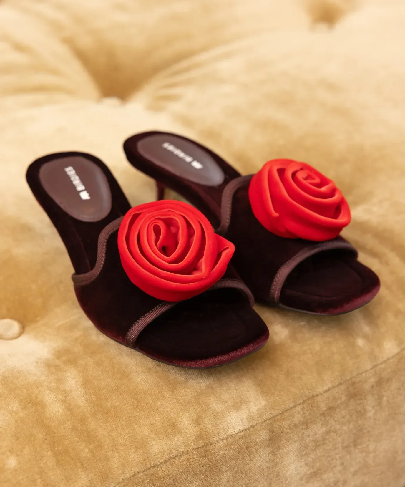 The Kiwi Kitten Flower – Burgundy Velvet