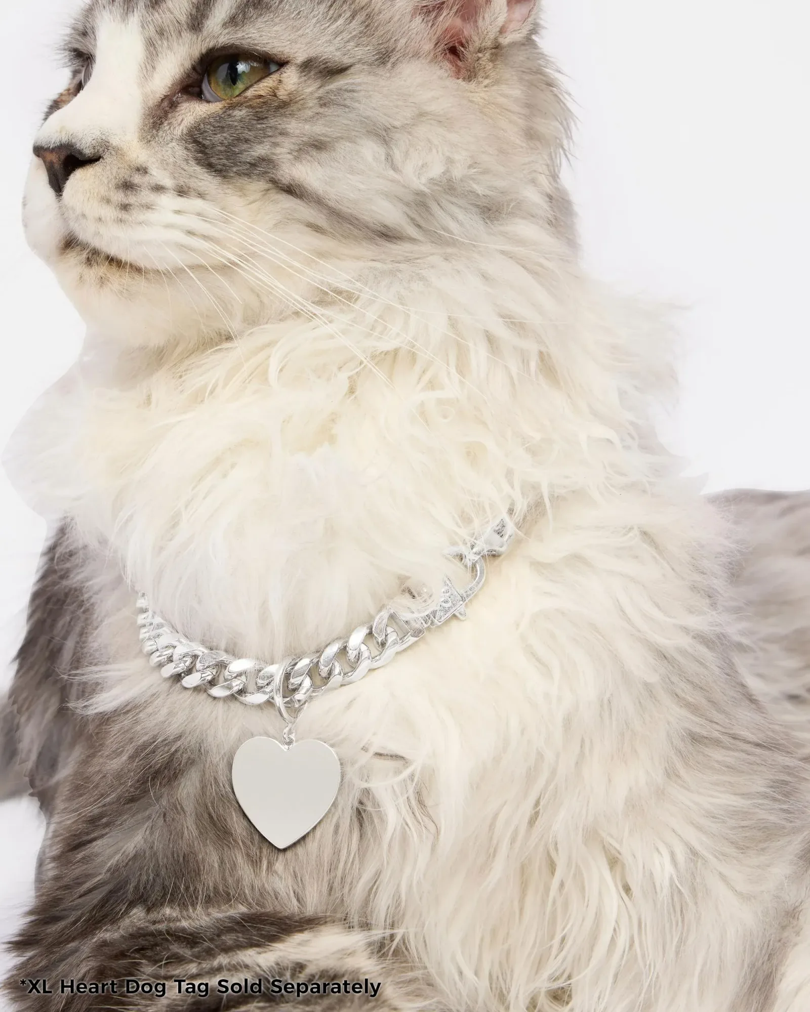 Thor Cuban Chain Pet Necklace 10.8mm – Silver