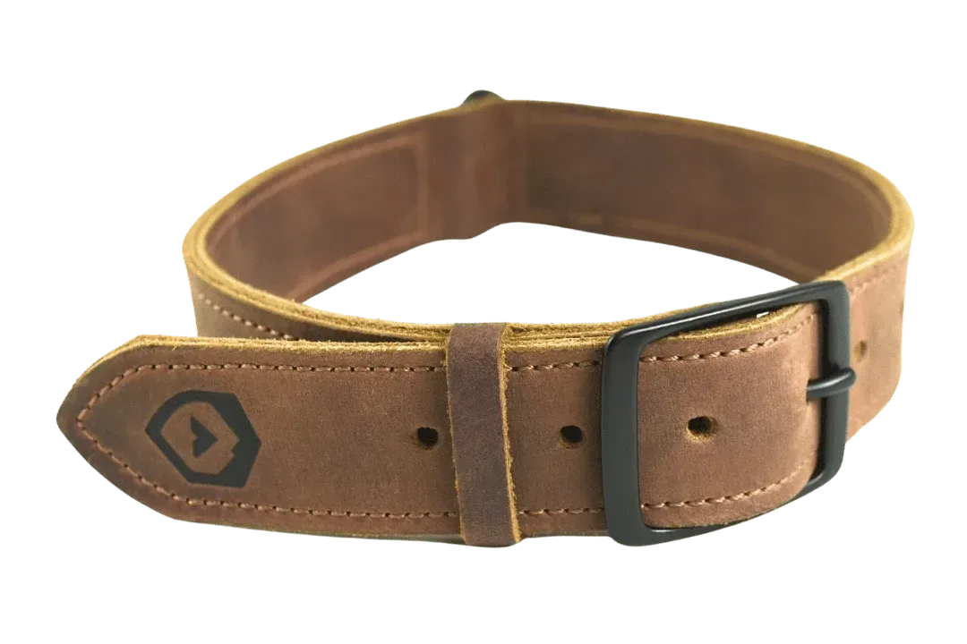 Essential Dog Collar