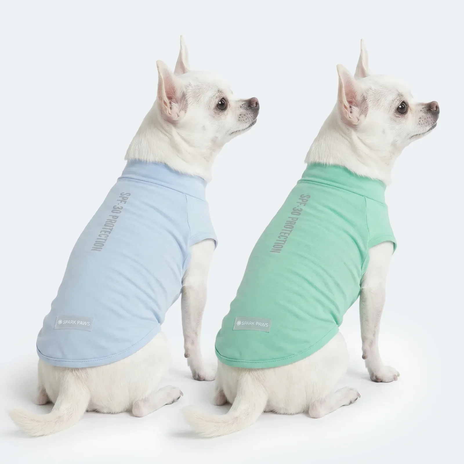 Sunblock Dog T-Shirt (2-pack) – Blue Mint