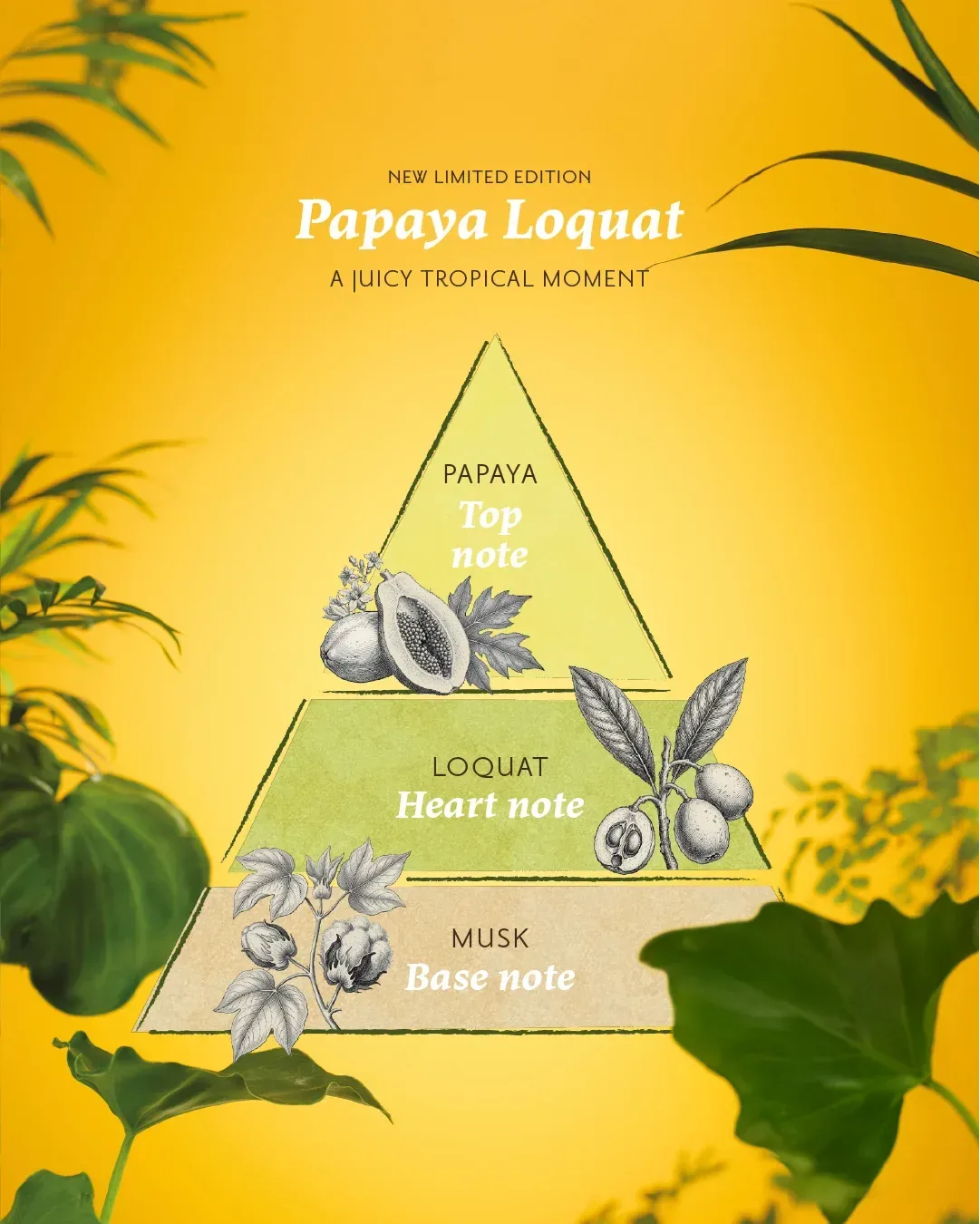 Body Gelee 200ml Papaya Loquat