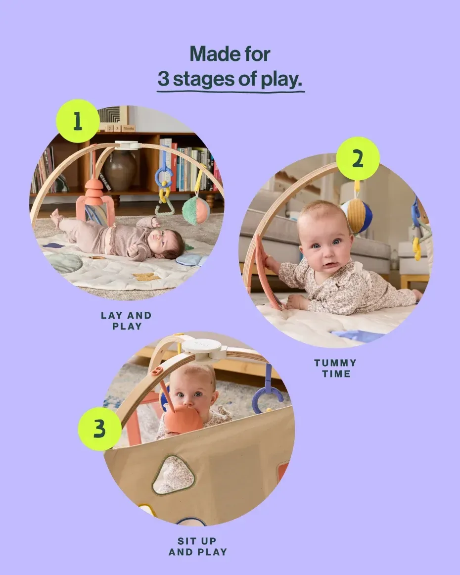 The Play Gym II
