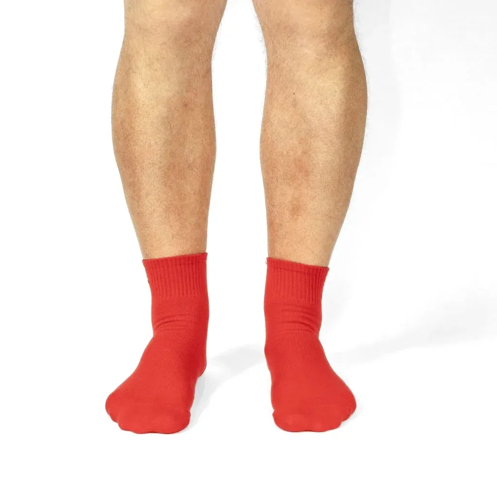 Getting Squirrely Quarter Socks