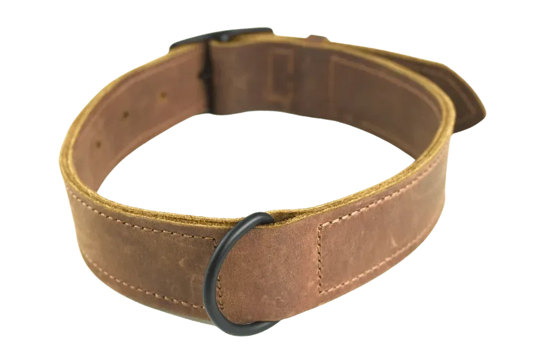 Essential Dog Collar