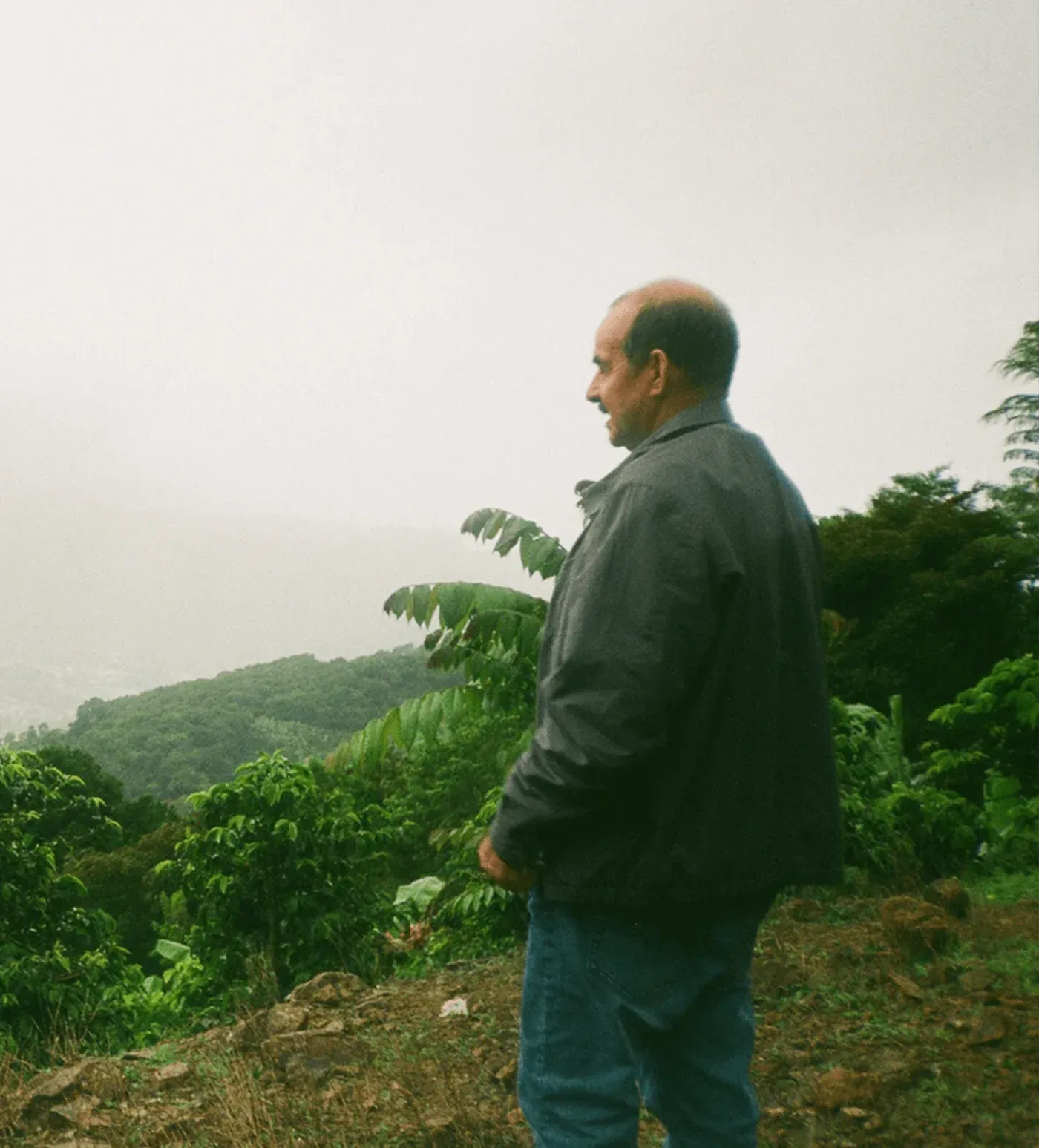 Costa Rica Don Cayito Typica Mejorado White Honey Farmlevel Reserve