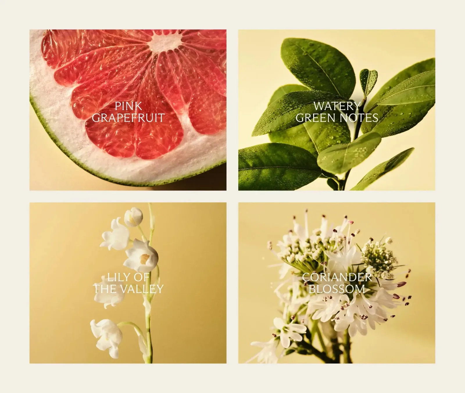 Grapefruit Classic Candle & Reed Diffuser Set