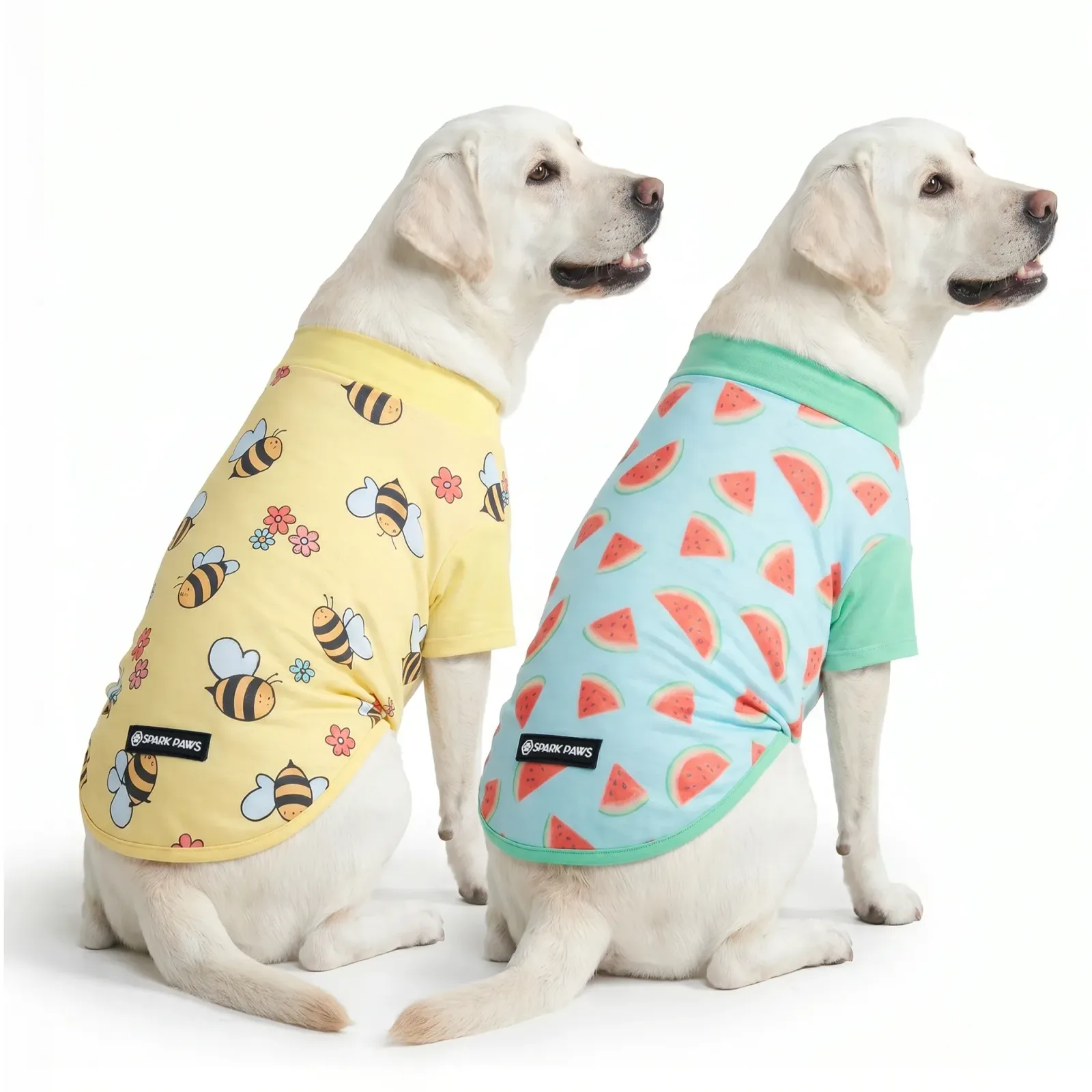 Sunblock Dog T-Shirt (2-pack) – Bees Watermelon
