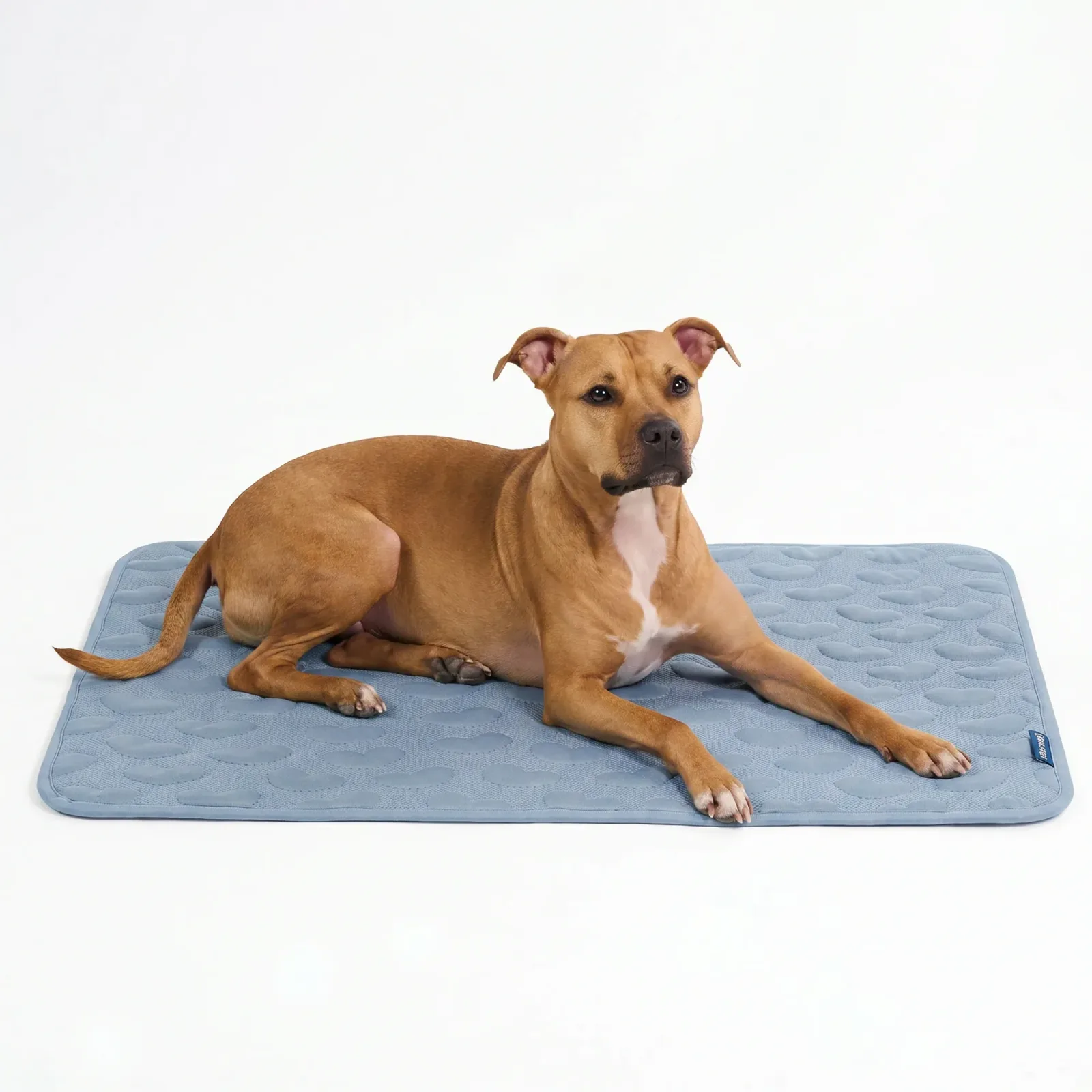 Frostcore™ Cooling Mat – Hearts Ash Blue