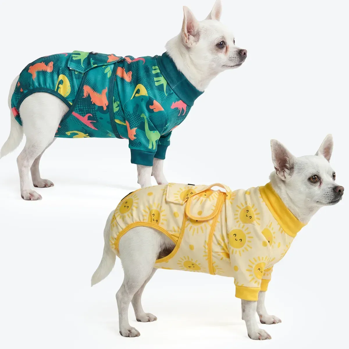Dog Surgical Suit (2-pack) – Dinosaurs and Sunshine