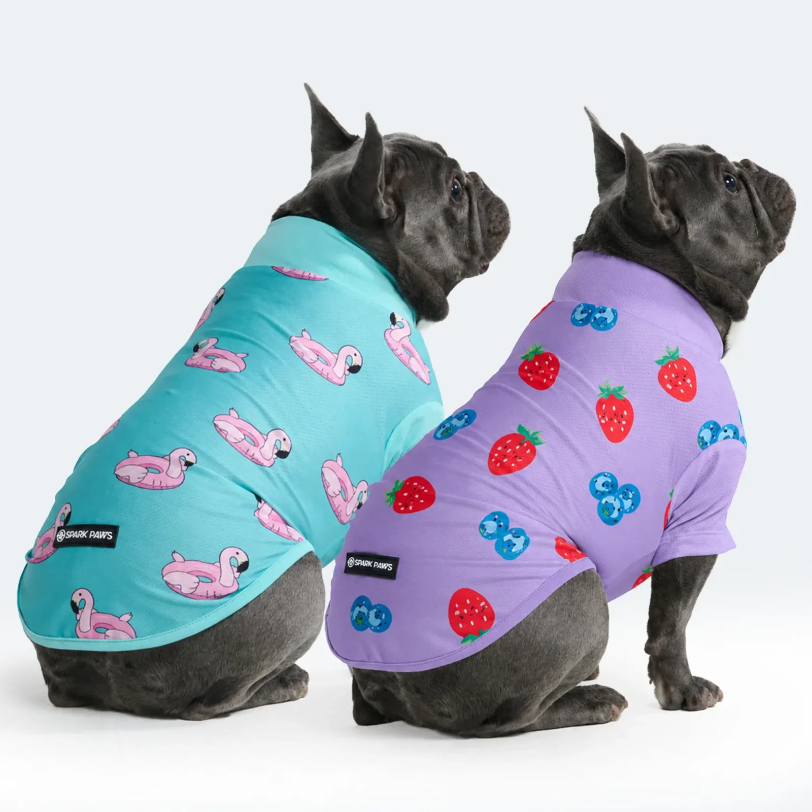 Sunblock Dog T-Shirt (2-pack) – Berries Flamingo
