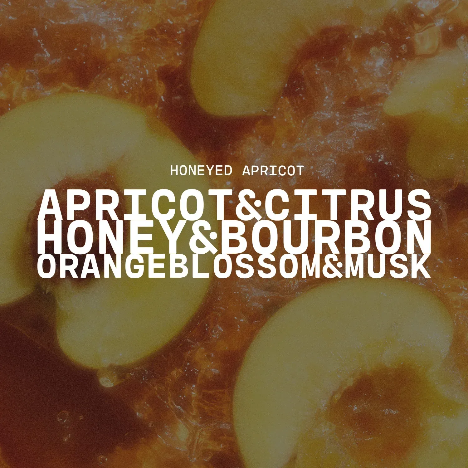 Honeyed Apricot Wax Melt – 5.5 oz Melt