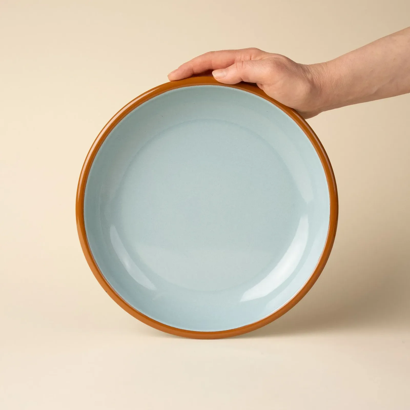 Solid Enamel Dinner Plate