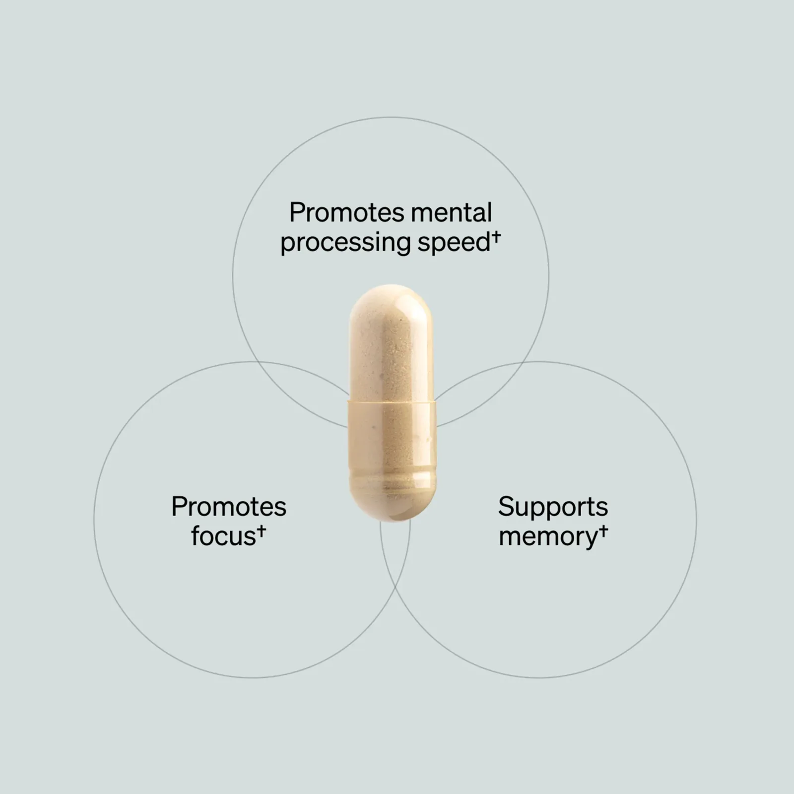 Alpha BRAIN® (60 ct)