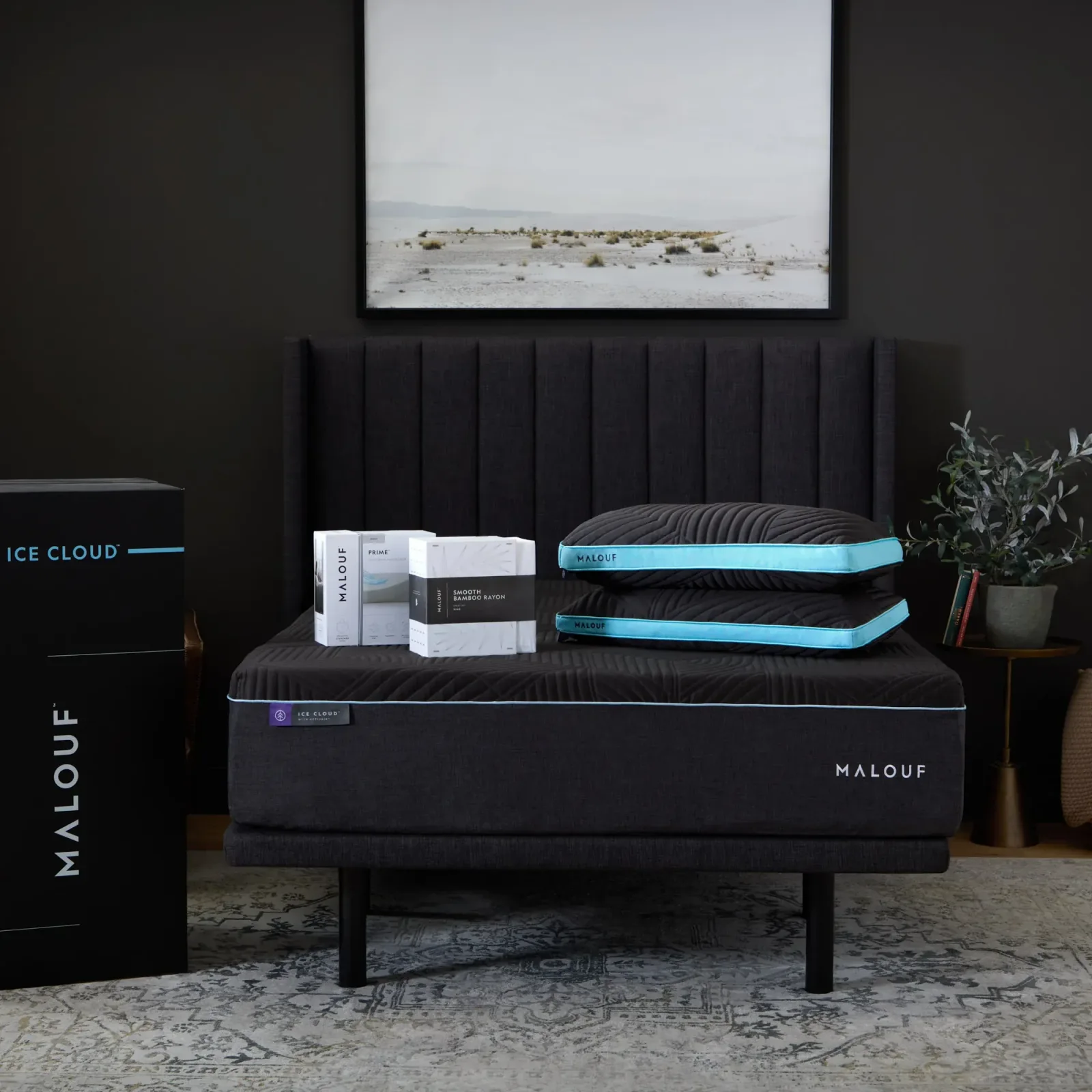 The Complete Sleep Bundle