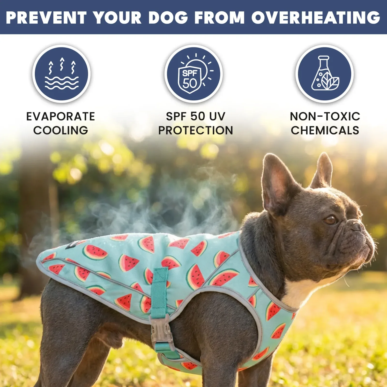 Dog Cooling Vest (2-pack) – Popsicles & Watermelon