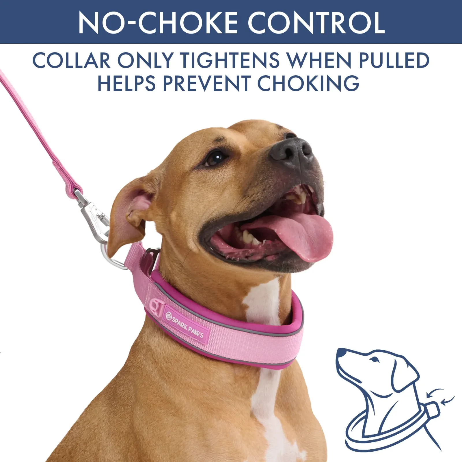Martingale Collar Set – Pink