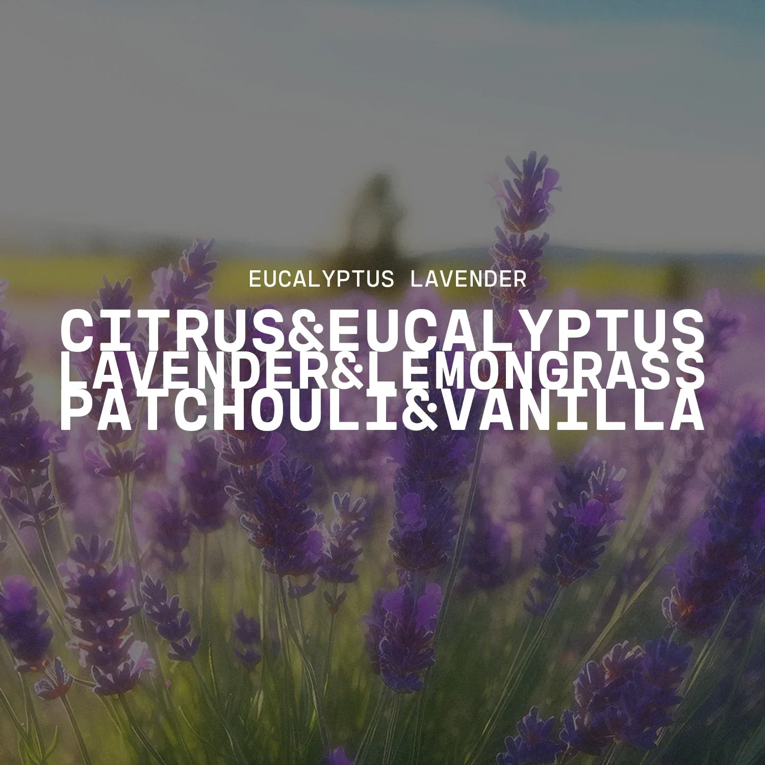 Eucalyptus Lavender Candle – 9 lb Monster