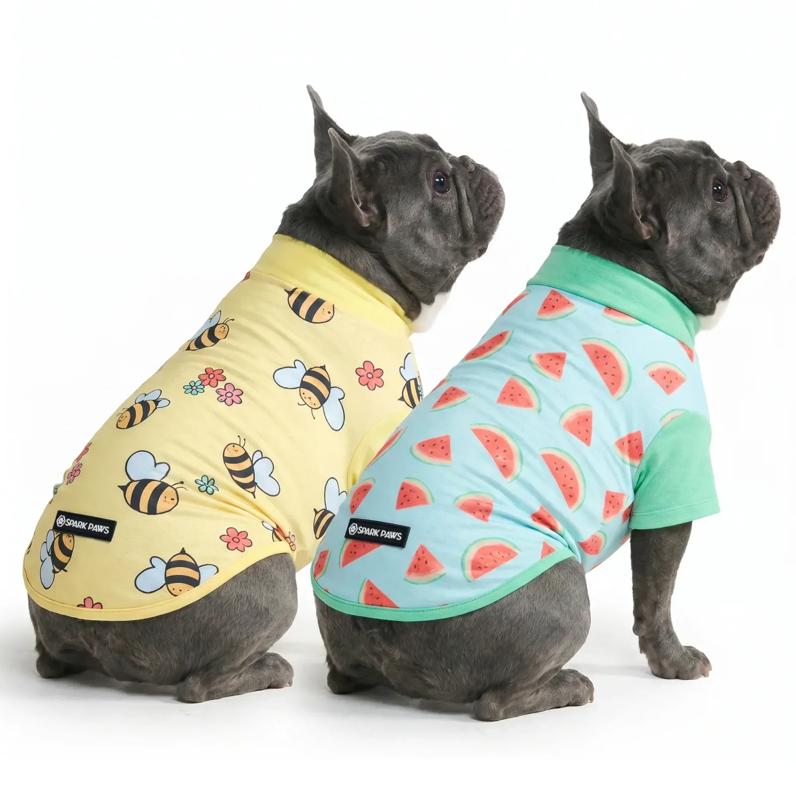 Sunblock Dog T-Shirt (2-pack) – Bees Watermelon