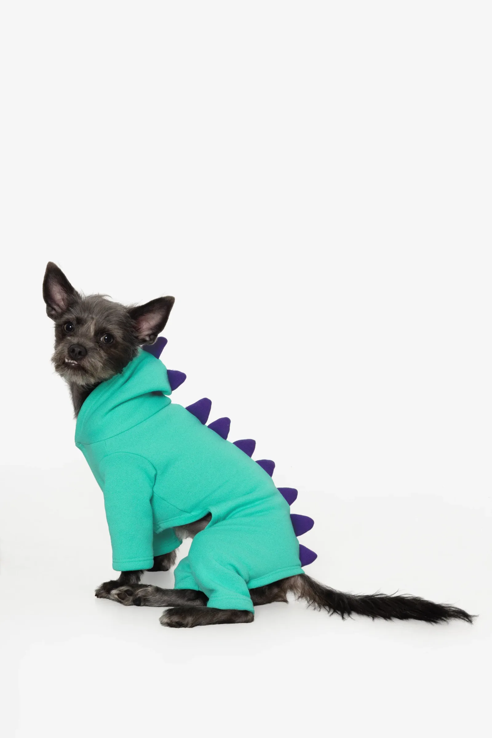FF900 – Dogzilla