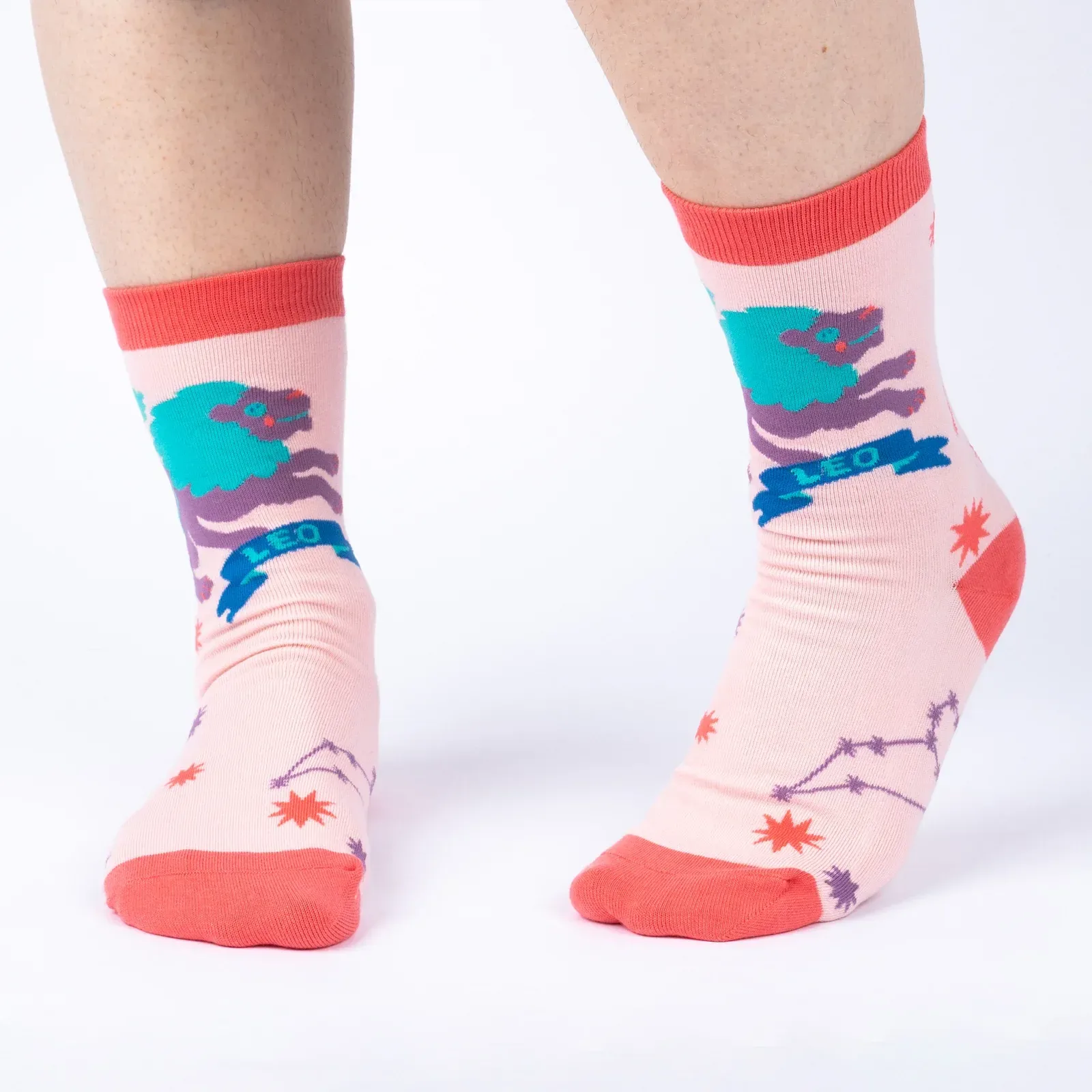 Leo Greeting Card with Socks