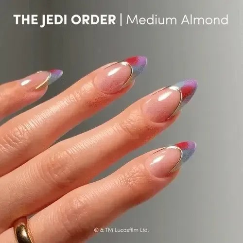 The Jedi Order